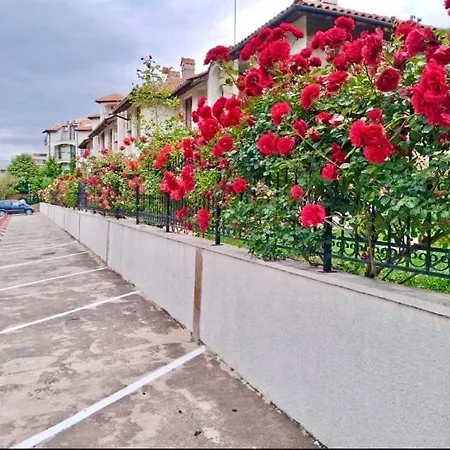 Blue Triumph Lägenhet *